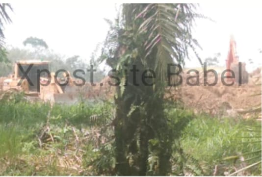 3 (tiga) Unit Alat Berat dan Tambang Ilegal Milik Igus  di Dusun Nadi, Lubuk Besar Beroperasi di Hutan Lindung